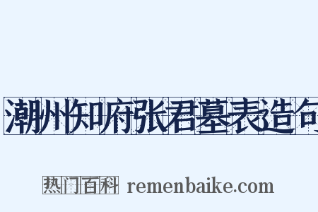 潮州知府张君墓表造句是什么意思的图片